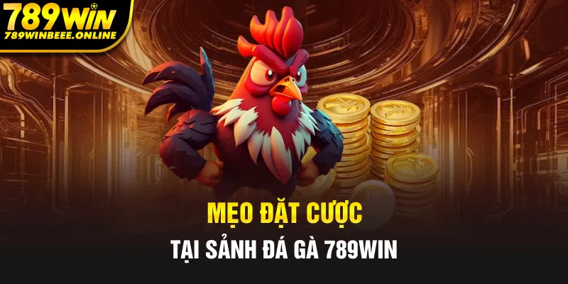 Các mẹo hay khi đặt cược tại sảnh đá gà 789Win