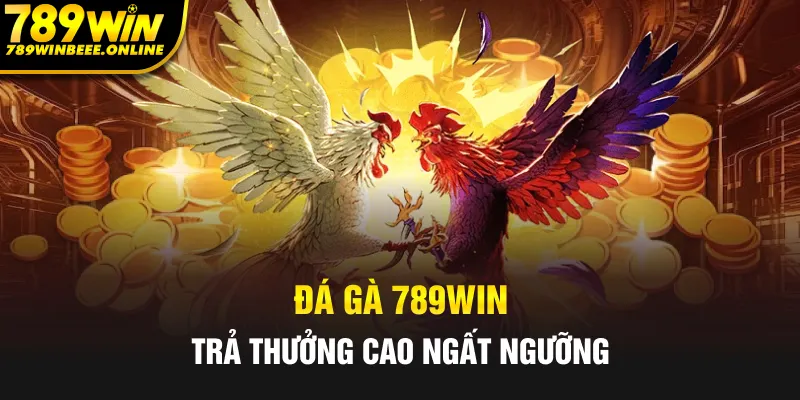 Đá gà 789Win có mức độ trả thưởng cao ngất ngưỡng