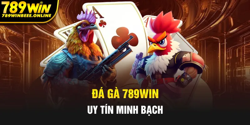 Đá gà 789Win là sảnh cược uy tín và minh bạch