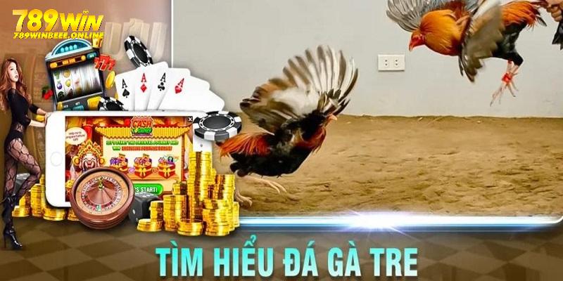 Đá gà giúp bet thủ trải nghiệm hấp dẫn