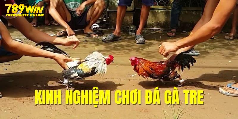 Kinh nghiệm khi chơi đá gà tre