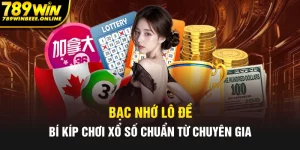 avatar bạc nhớ lô đề