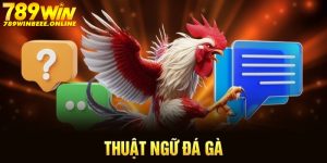 avatar thuật ngữ đá gà